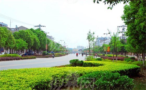 環保透水磚機廠家