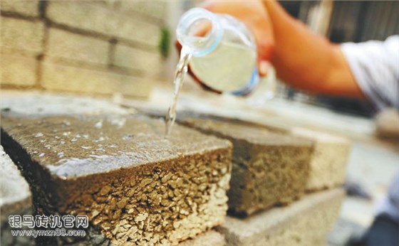 環保海綿滲水磚