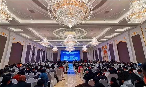 西安銀馬實業發展有限公司