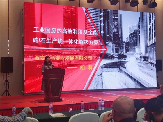 西安銀馬公司總經理胡漪女士