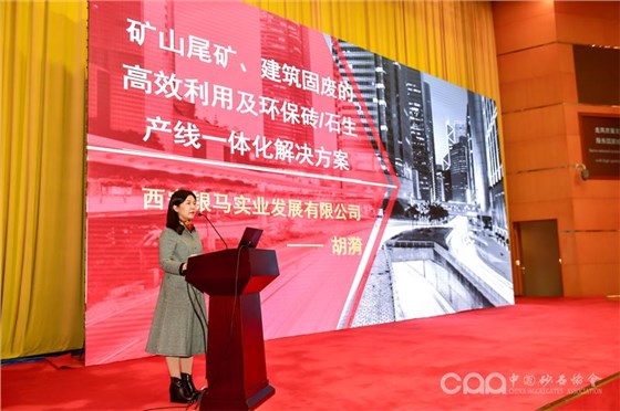 西安銀馬總經理胡漪