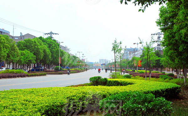 環(huán)保透水磚機廠家解密綠色街道的概念 環(huán)保透水磚機廠家解密綠色街道的概念