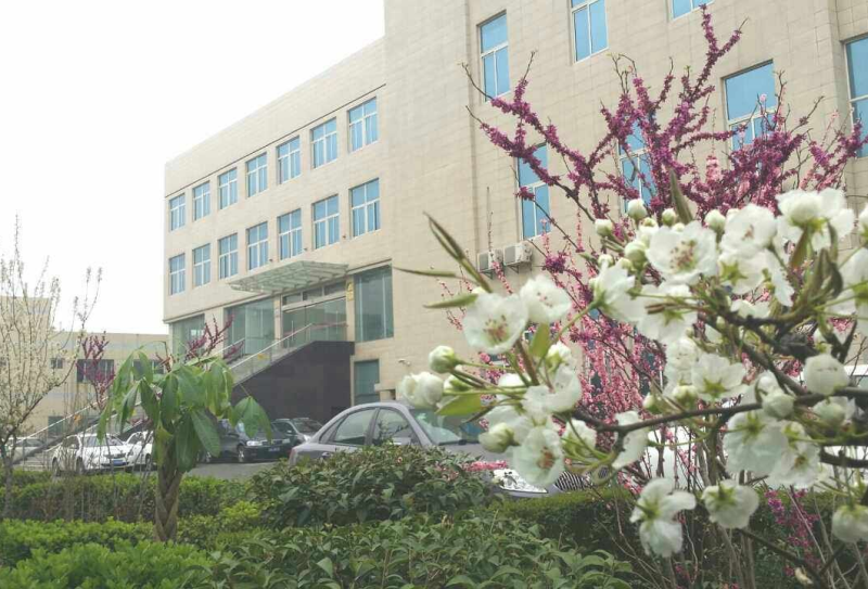 西安銀馬：綠色智能創新 馳騁科技海洋