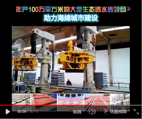 雙機并列碼垛機器人現場實拍視頻