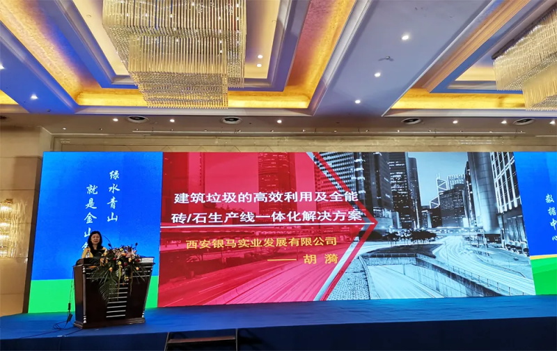 西安銀馬公司總經理胡漪