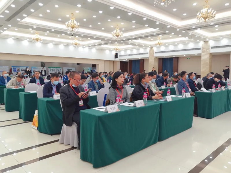 西安銀馬總經理胡漪受邀參加