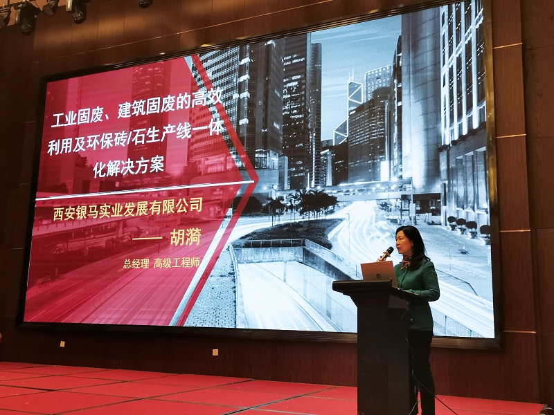 西安銀馬公司總經理胡漪女士