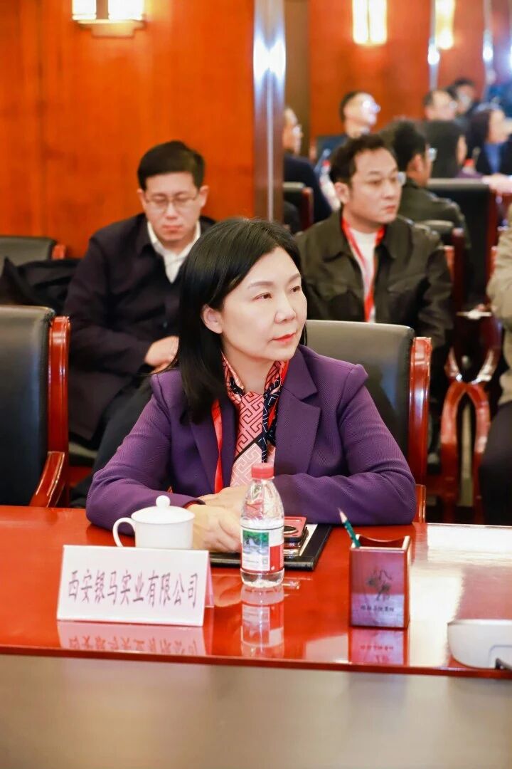 西安銀馬參加煤碳資源型城市煤矸石百千萬噸級產(chǎn)業(yè)化項目技術(shù)方案精準(zhǔn)對接會